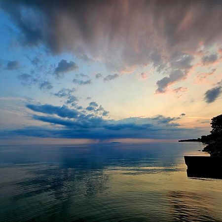 Tree-Top Lake-Front Cottage Madison Εξωτερικό φωτογραφία